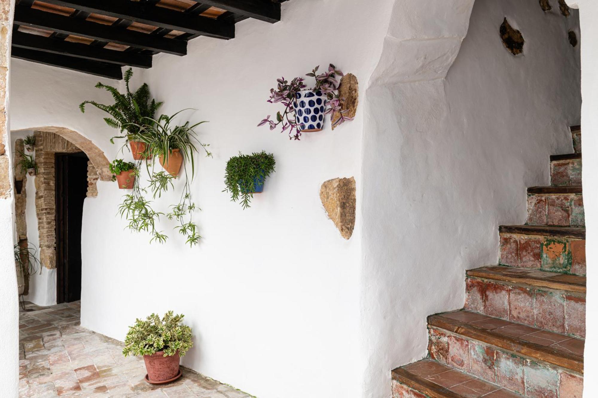Casa Lunarito Vejer de la Frontera Exteriör bild
